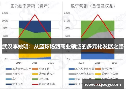 武汉李姚明：从篮球场到商业领域的多元化发展之路